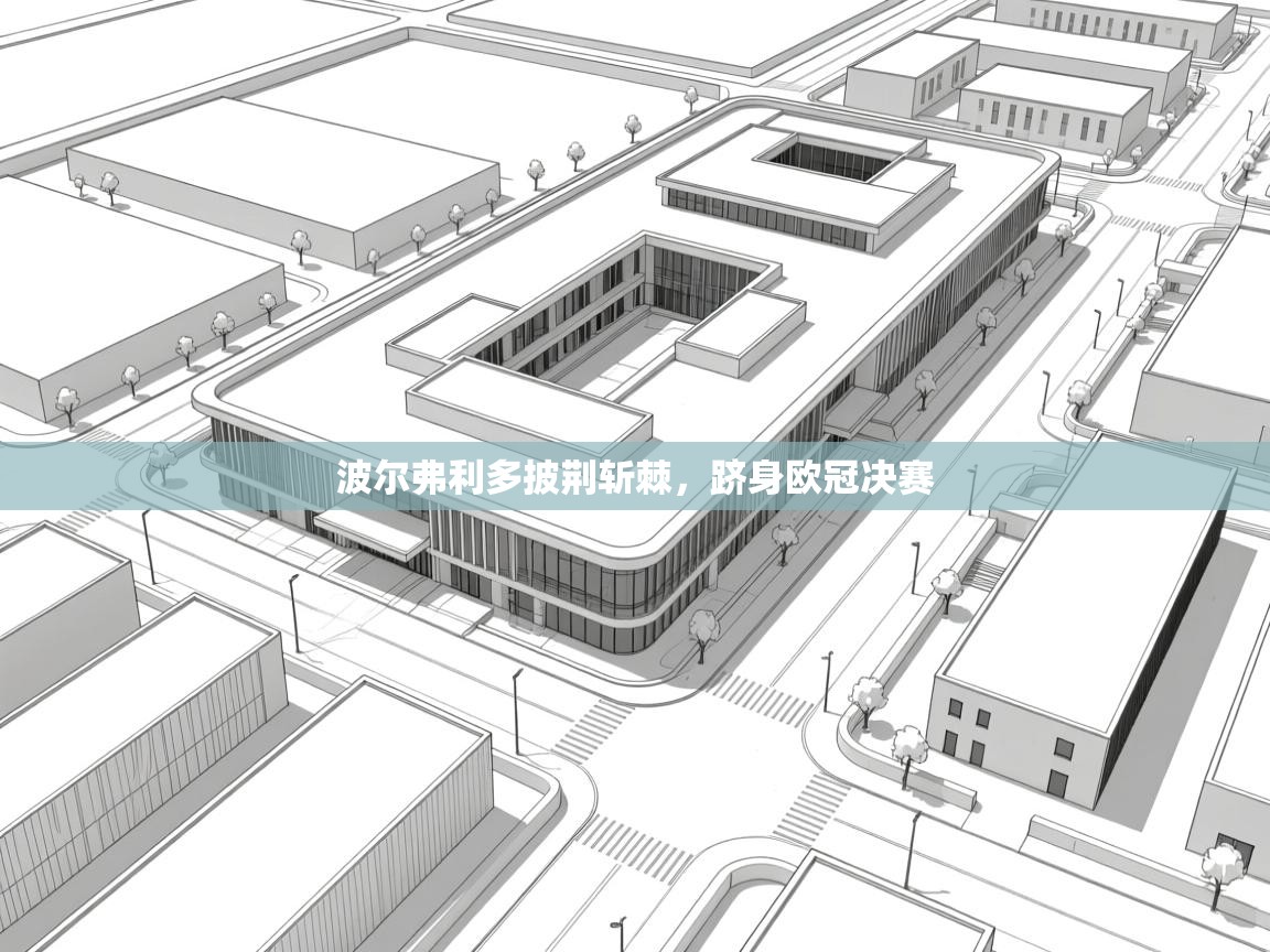 波尔弗利多披荆斩棘，跻身欧冠决赛  第2张