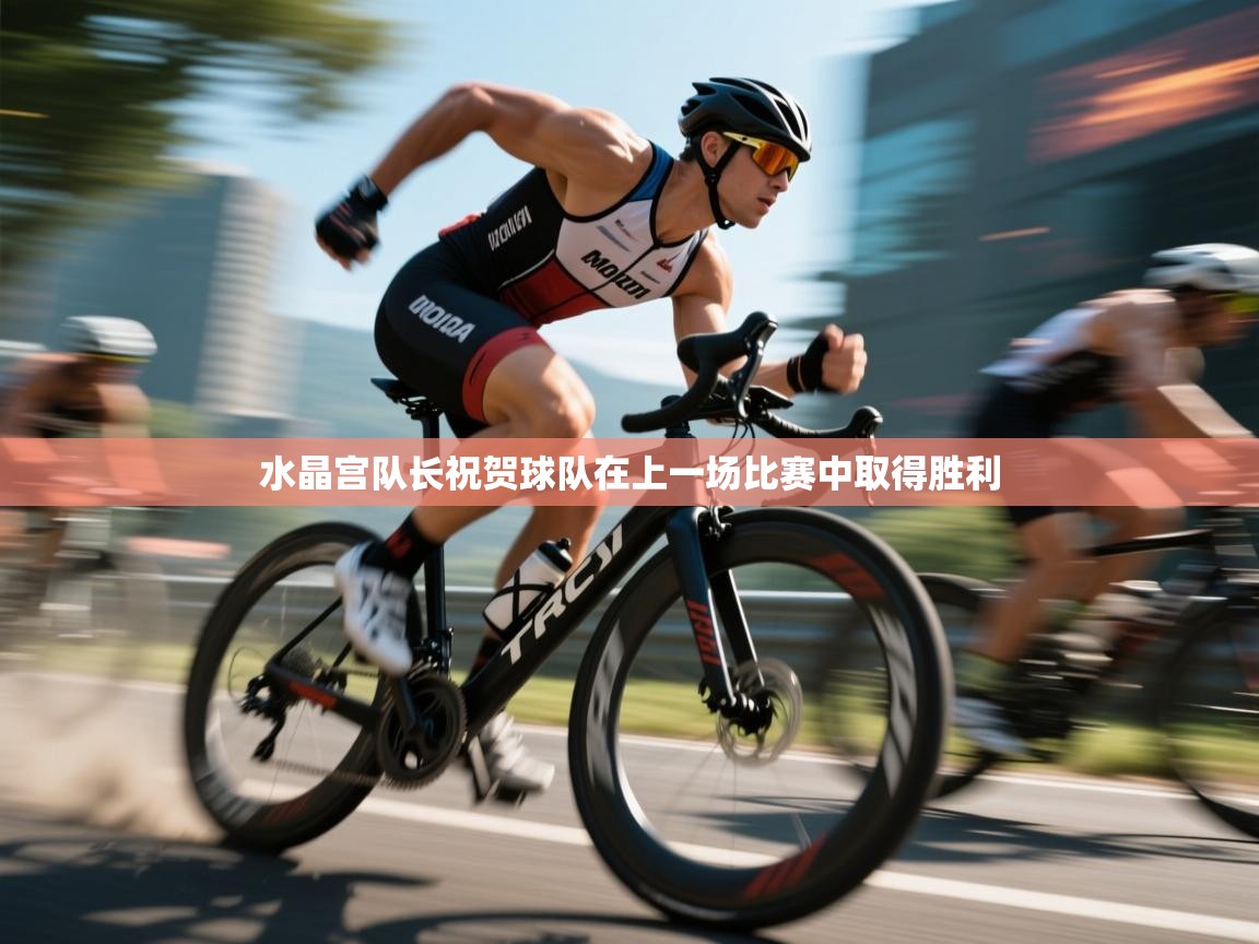 水晶宫队长祝贺球队在上一场比赛中取得胜利  第1张