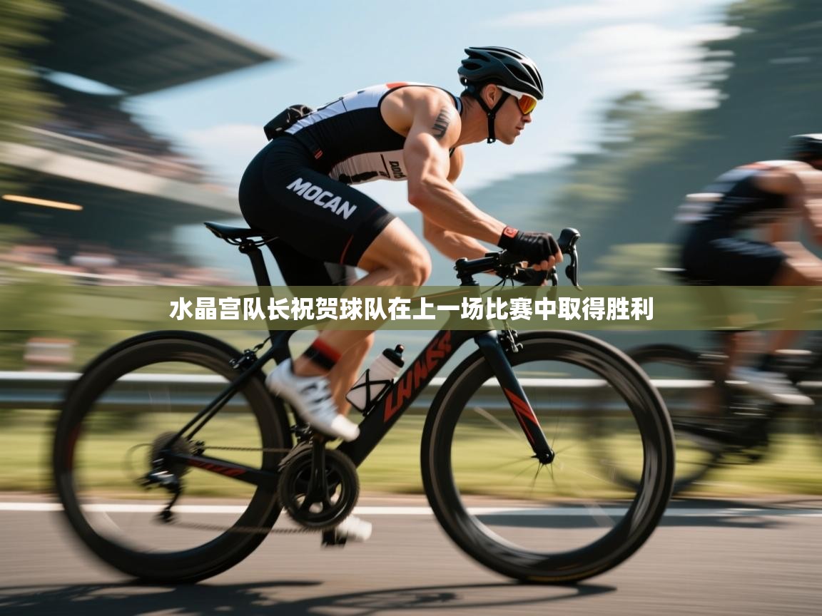 水晶宫队长祝贺球队在上一场比赛中取得胜利  第2张