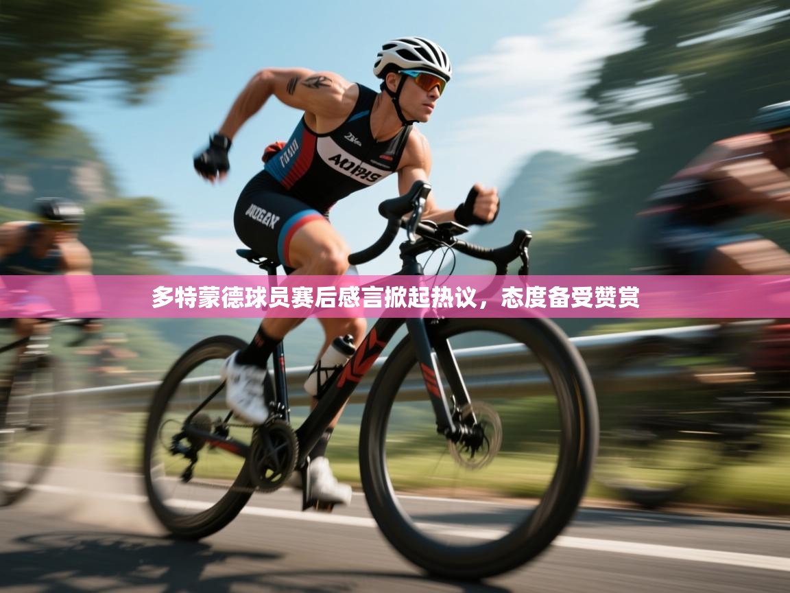 多特蒙德球员赛后感言掀起热议，态度备受赞赏  第1张