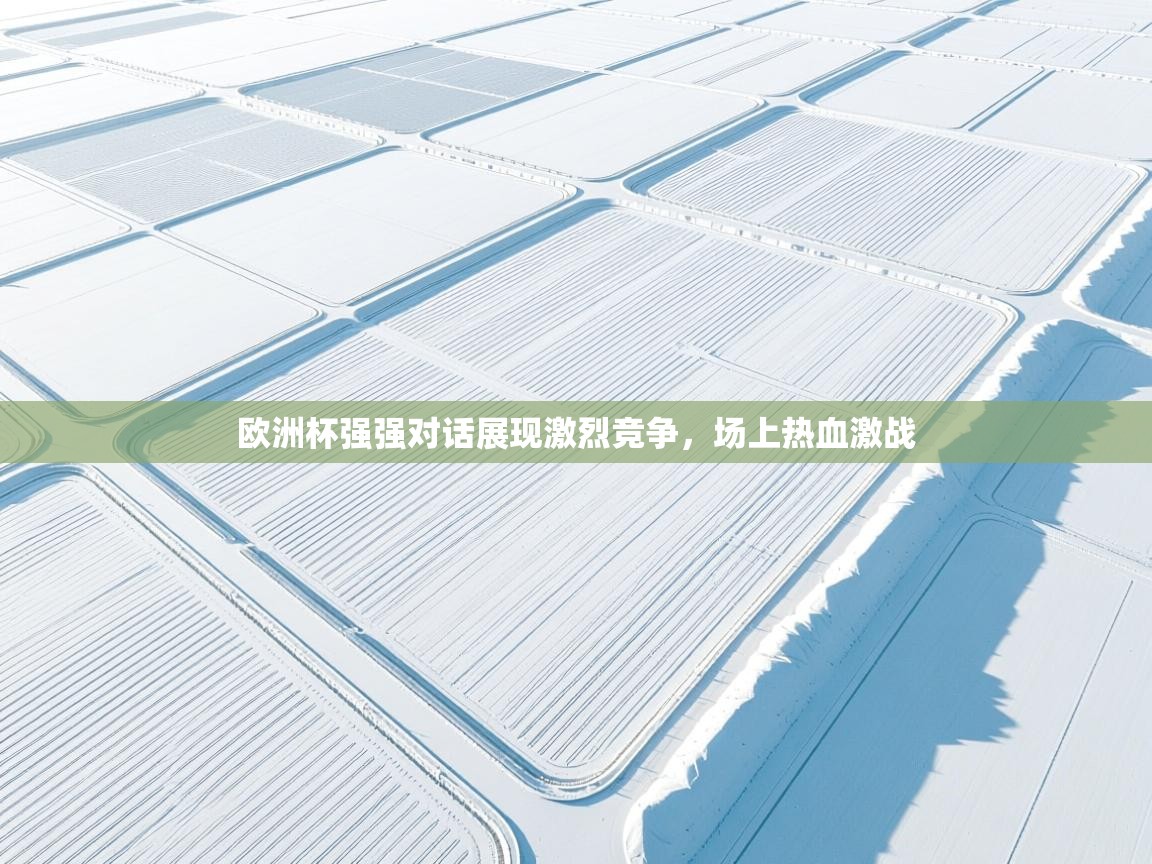 欧洲杯强强对话展现激烈竞争，场上热血激战  第1张