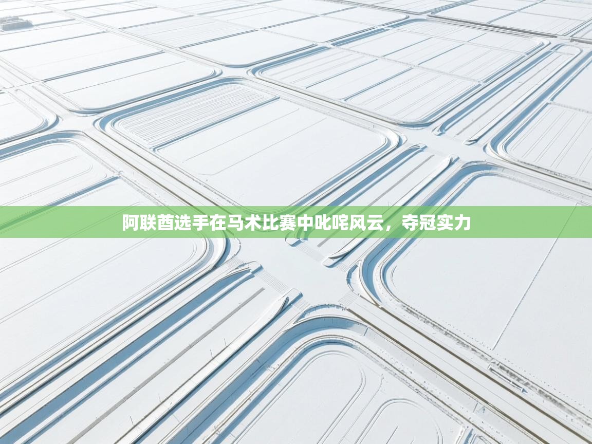 阿联酋选手在马术比赛中叱咤风云，夺冠实力  第1张