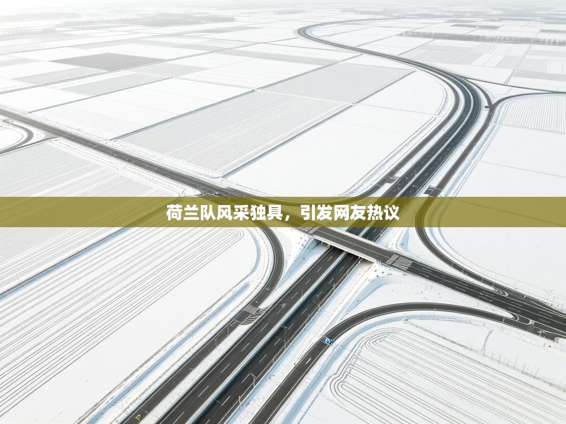 荷兰队风采独具，引发网友热议  第2张